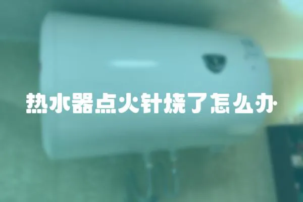 熱水器點火針燒了怎么辦