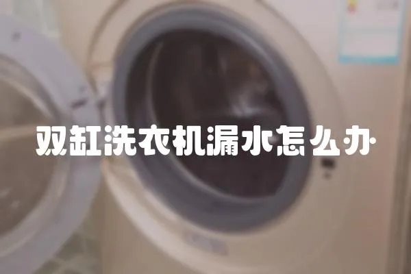 雙缸洗衣機(jī)漏水怎么辦
