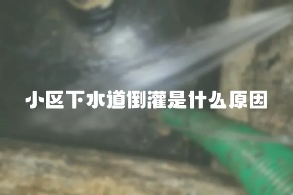 小區下水道倒灌是什么原因