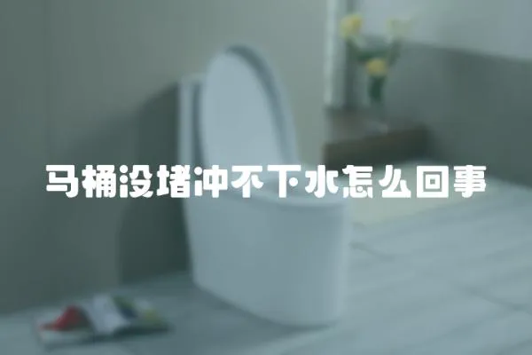 馬桶沒(méi)堵沖不下水怎么回事