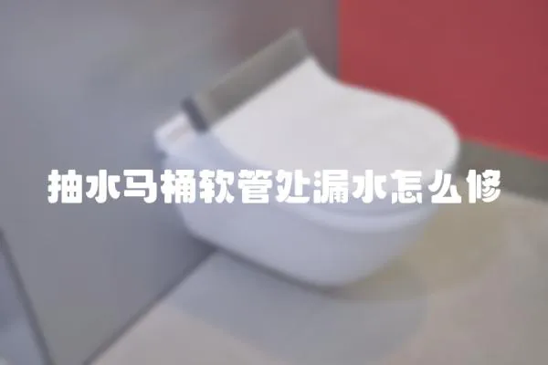 抽水馬桶軟管處漏水怎么修