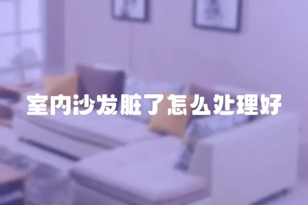 室內(nèi)沙發(fā)臟了怎么處理好