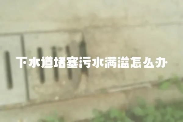下水道堵塞污水滿溢怎么辦