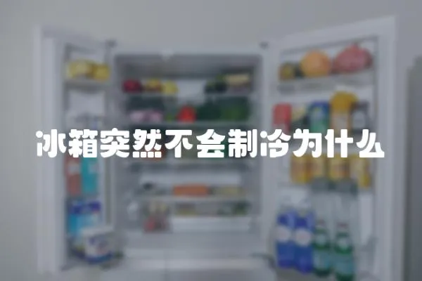 冰箱突然不會制冷為什么