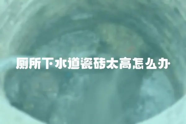 廁所下水道瓷磚太高怎么辦