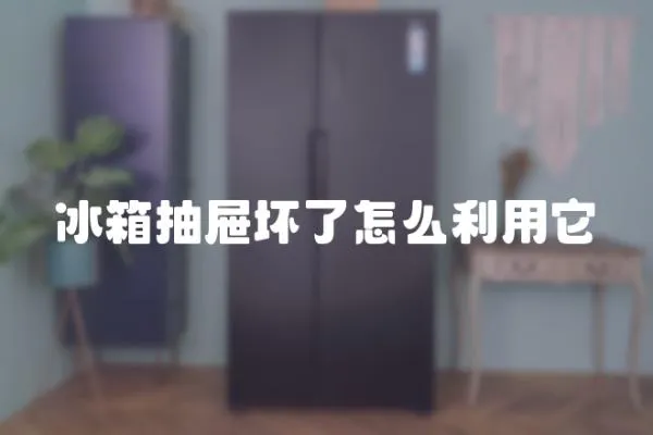 冰箱抽屜壞了怎么利用它