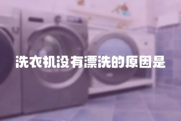 洗衣機沒有漂洗的原因是