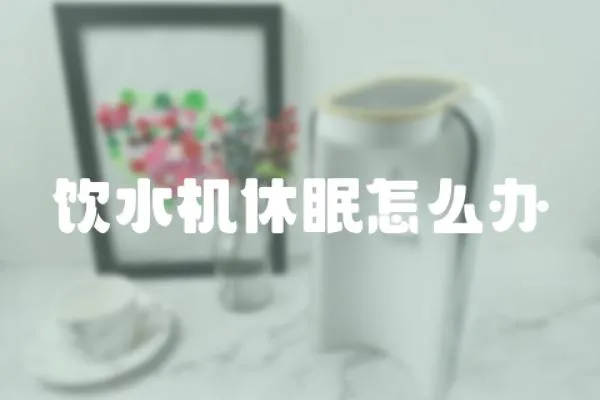 飲水機休眠怎么辦