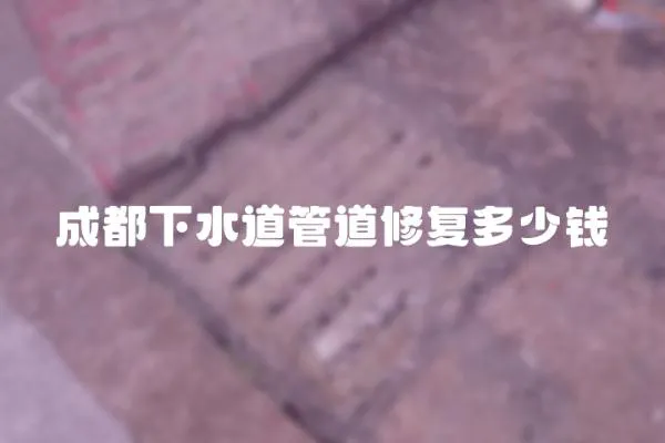 成都下水道管道修復(fù)多少錢