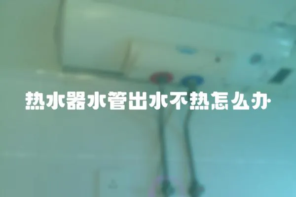 熱水器水管出水不熱怎么辦