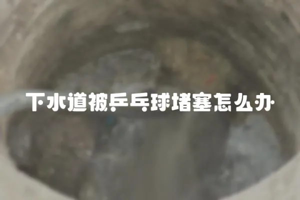 下水道被乒乓球堵塞怎么辦