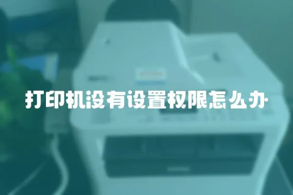 打印機(jī)沒有設(shè)置權(quán)限怎么辦