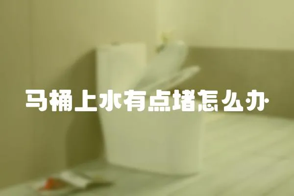 馬桶上水有點堵怎么辦