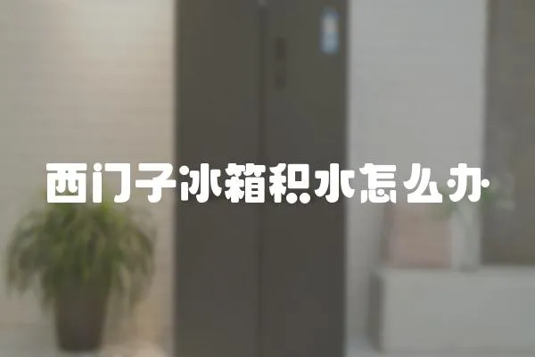 西門子冰箱積水怎么辦