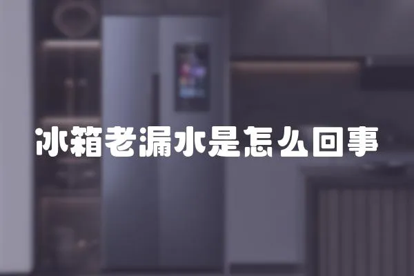 冰箱老漏水是怎么回事