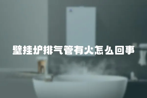 壁掛爐排氣管有火怎么回事