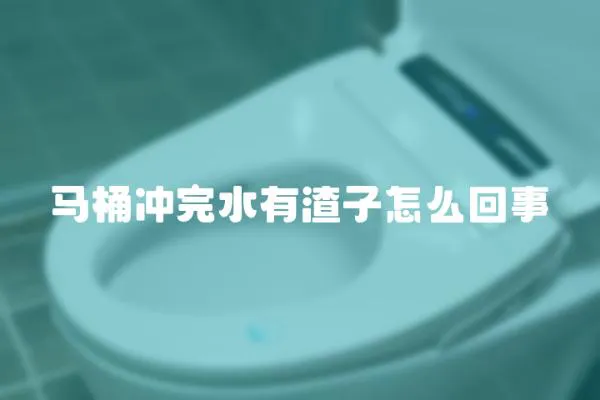 馬桶沖完水有渣子怎么回事