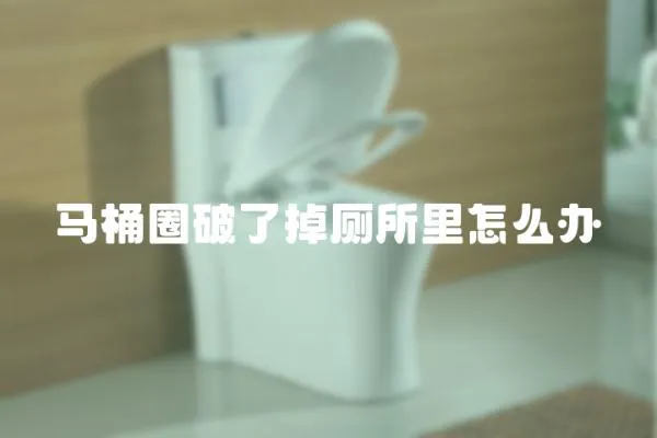 馬桶圈破了掉廁所里怎么辦