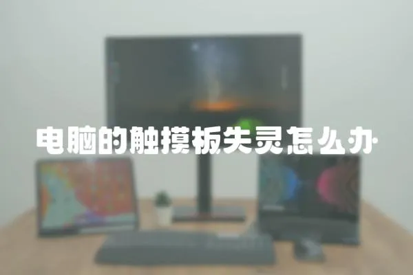 電腦的觸摸板失靈怎么辦