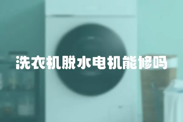 洗衣機脫水電機能修嗎