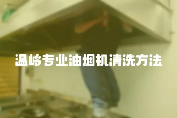 溫嶺專業油煙機清洗方法
