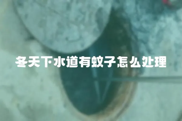 冬天下水道有蚊子怎么處理