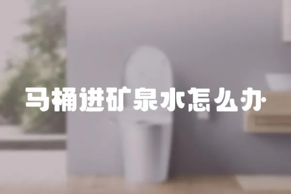 馬桶進礦泉水怎么辦