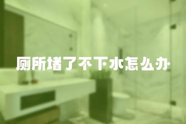 廁所堵了不下水怎么辦