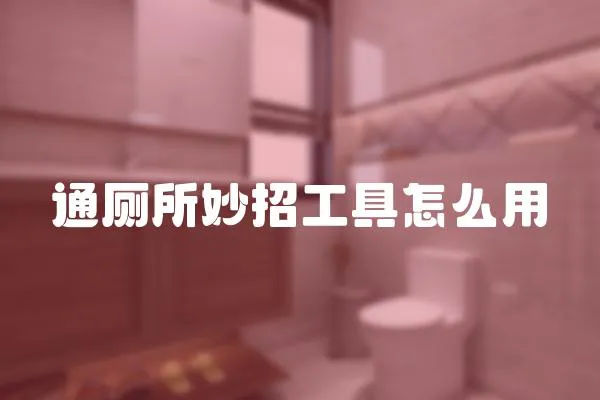 通廁所妙招工具怎么用