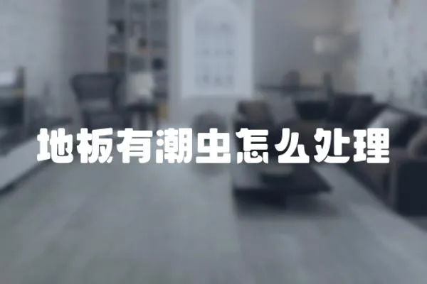 地板有潮蟲怎么處理