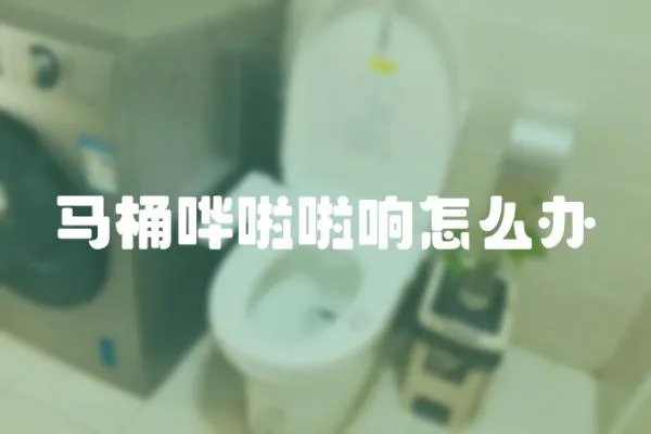 馬桶嘩啦啦響怎么辦