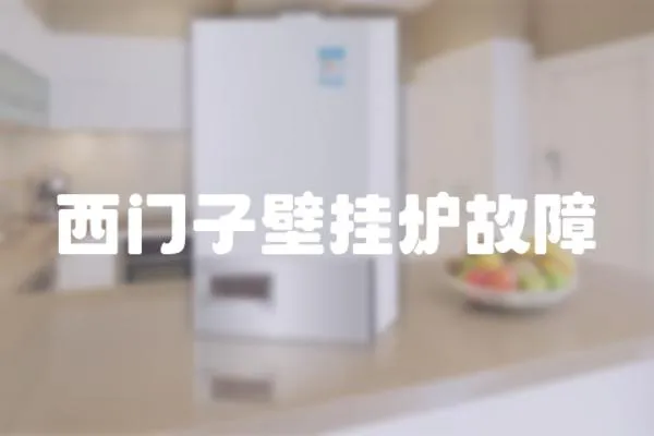 西門子壁掛爐故障