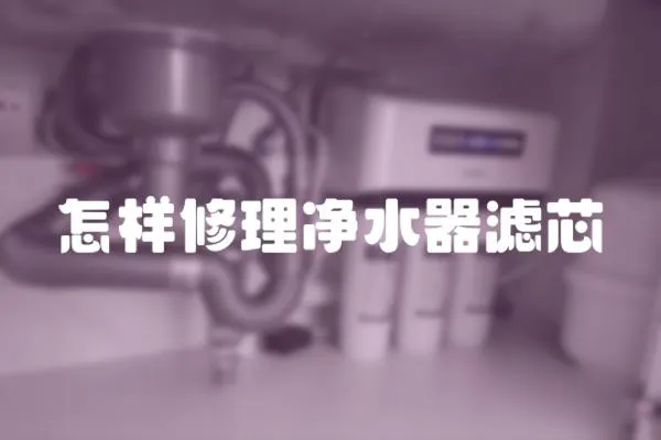 怎樣修理凈水器濾芯