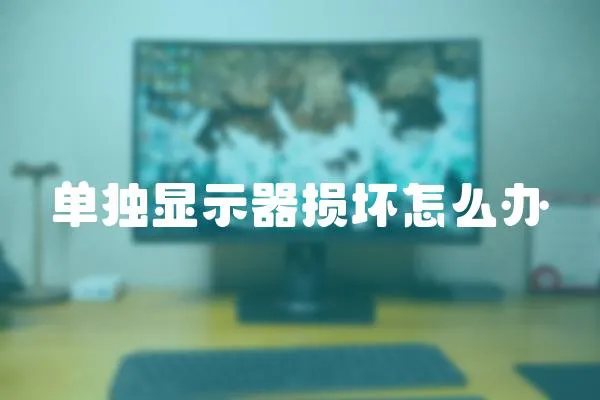 單獨顯示器損壞怎么辦