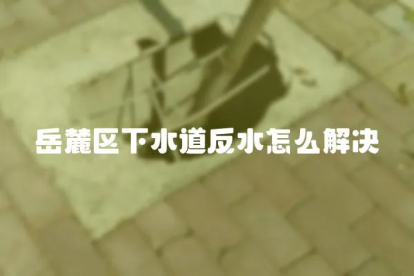 岳麓區下水道反水怎么解決