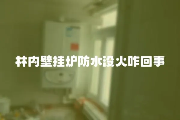 林內壁掛爐防水沒火咋回事