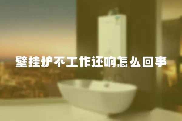 壁掛爐不工作還響怎么回事