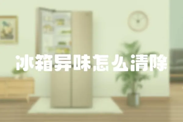 冰箱異味怎么清除