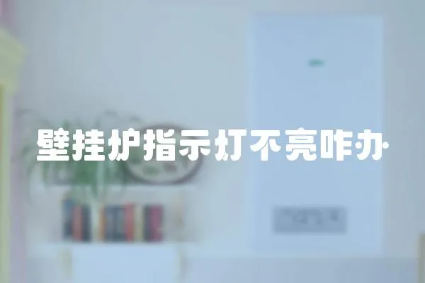 壁掛爐指示燈不亮咋辦