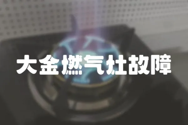 大金燃?xì)庠罟收?></a></div>
                    </div>
                    <div   id=