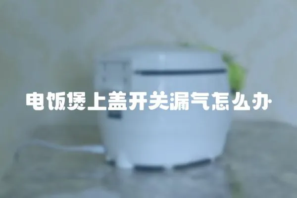 電飯煲上蓋開關(guān)漏氣怎么辦