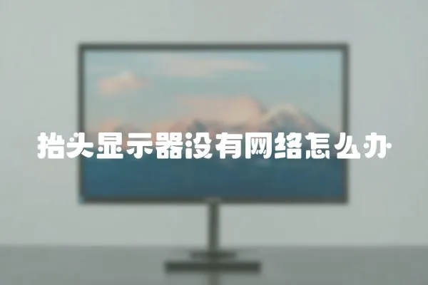 抬頭顯示器沒有網絡怎么辦