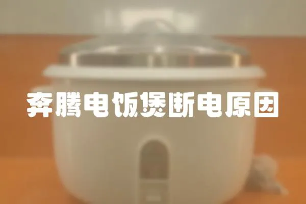 奔騰電飯煲斷電原因