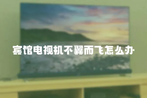 賓館電視機不翼而飛怎么辦