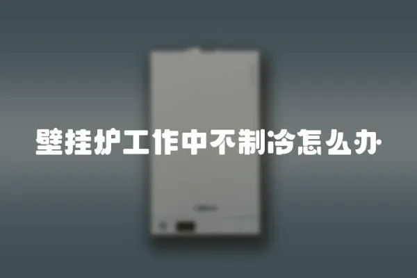 壁掛爐工作中不制冷怎么辦