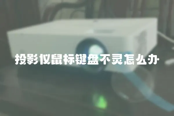 投影儀鼠標鍵盤不靈怎么辦