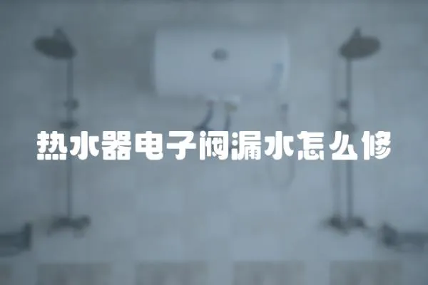 熱水器電子閥漏水怎么修