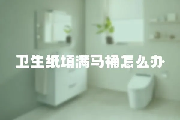 衛生紙填滿馬桶怎么辦