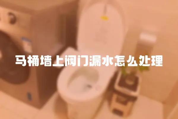 馬桶墻上閥門漏水怎么處理