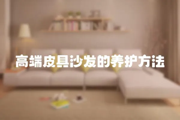 高端皮具沙發的養護方法